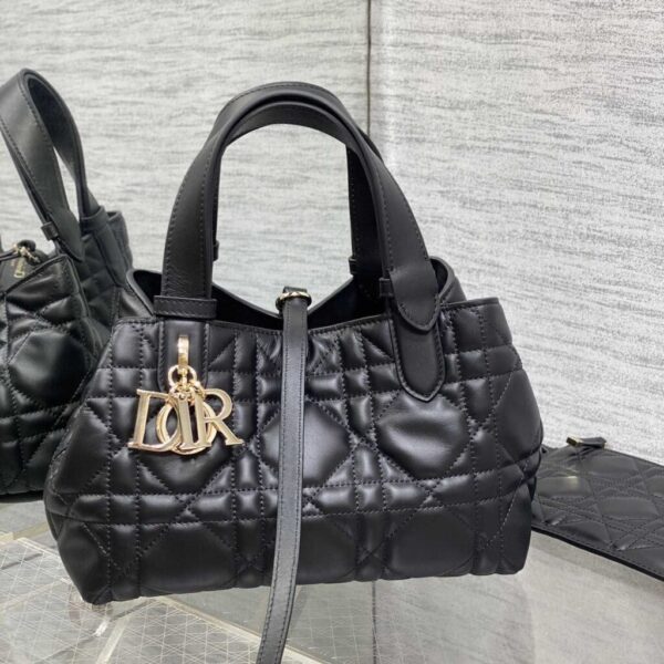 Dior Small Dior Toujours Bag